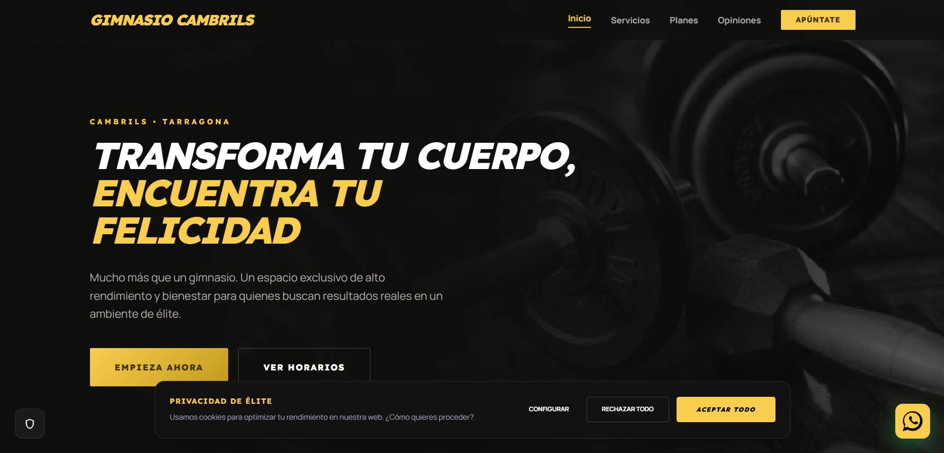 Proyecto Frontend Tailwind Vibecoding